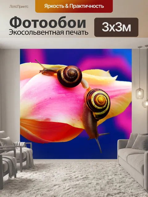 Фотообои Wstężyki gajowe