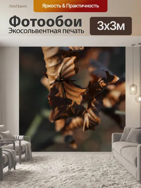 Фотообои Осень