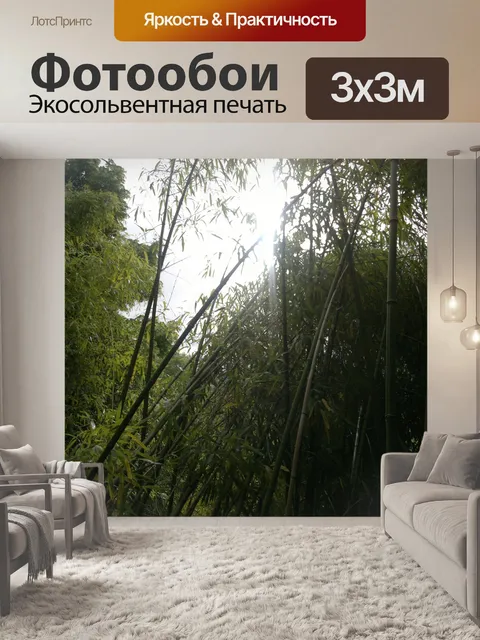 Фотообои Бамбук - Bambuseae