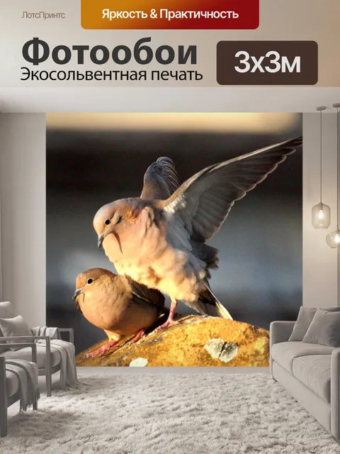 Фотообои Птицы