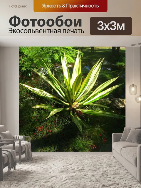 Фотообои Бело-зеленое растение юкки