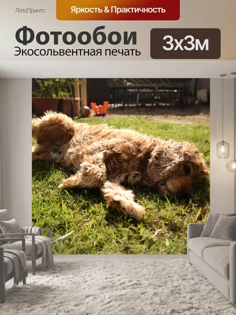 Фотообои Хороший
