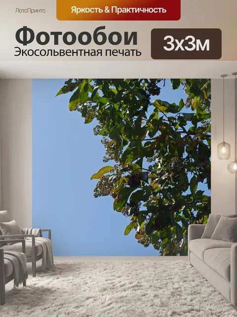 Фотообои ветки, цветы на лавандовом дереве