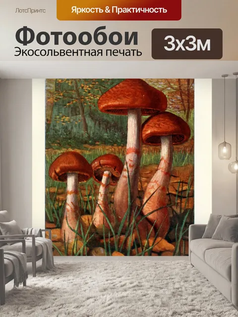 Фотообои Грибы век винтаж старый