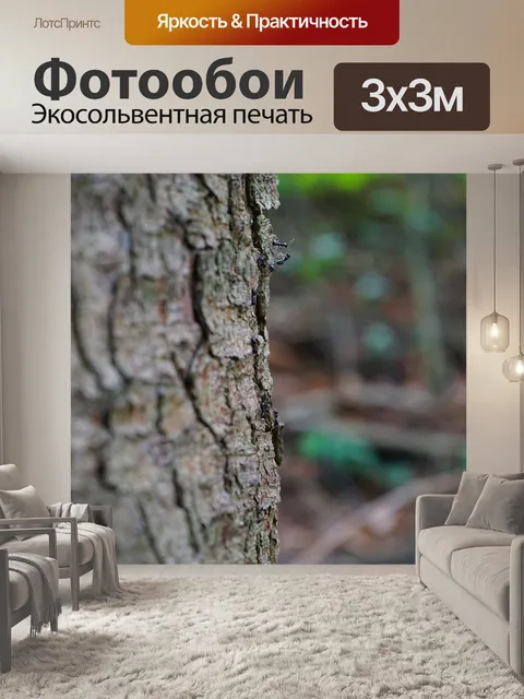 Фотообои Глянцевый черный деревянный муравей