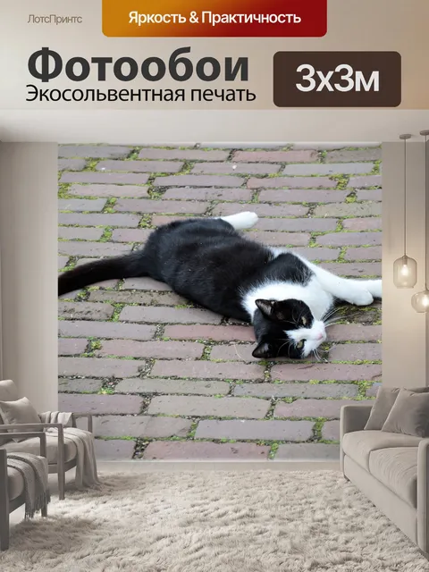 Фотообои Cat 01