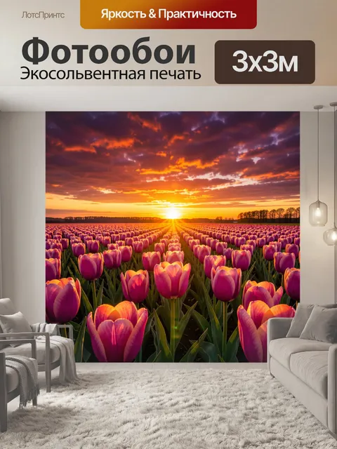 Фотообои Поле розовых тюльпанов на закате