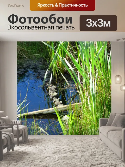 Фотообои Рид природа