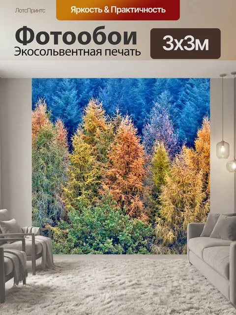 Фотообои Лес