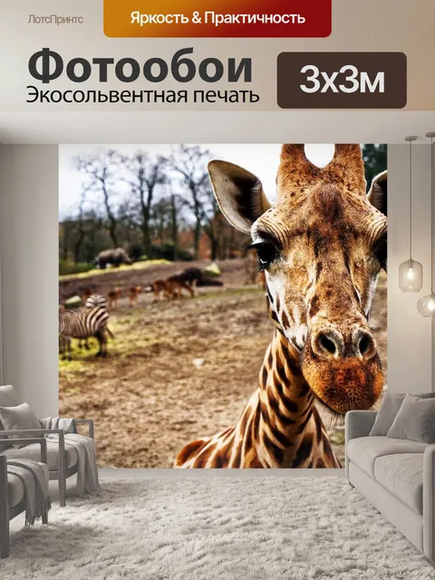 Фотообои Жирафа