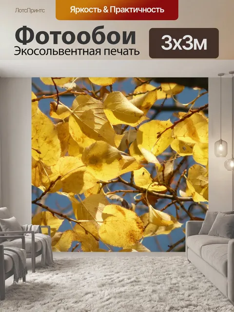 Фотообои Листья