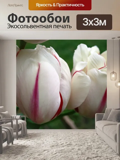 Фотообои тюльпаны, ботанические сады, москва