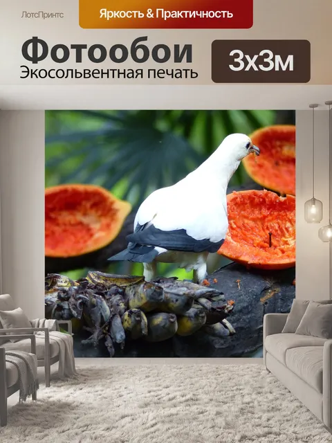 Фотообои Птица