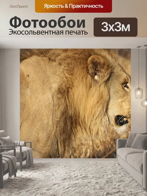 Фотообои Лев