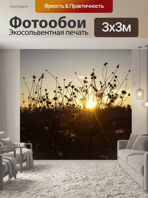 Фотообои Закат