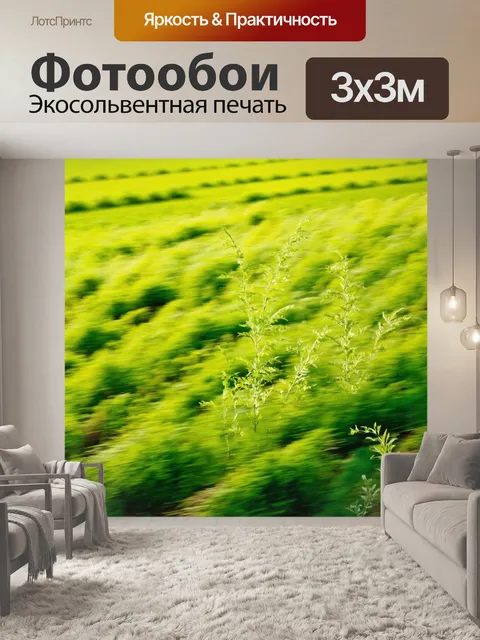 Фотообои поле, где растения наклоняются от сильного ветра, создавая динамичный и живой эффект
