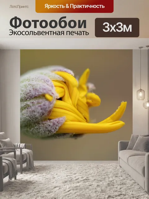 Фотообои Зеленый
