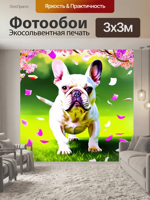 Фотообои французский бульдог, играющий на падающих лепестках цветов весной