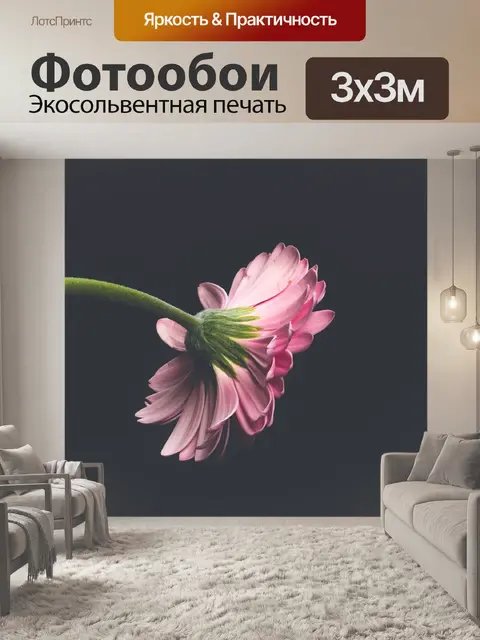 Фотообои Цветок