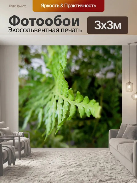 Фотообои Папоротник
