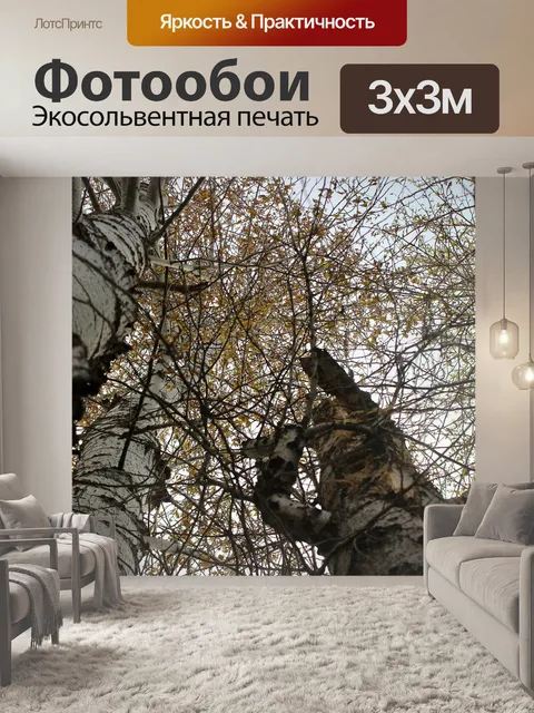 Фотообои Деревья
