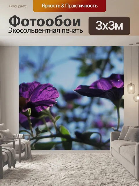 Фотообои картофель куст цветов