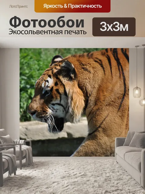 Фотообои Тигр