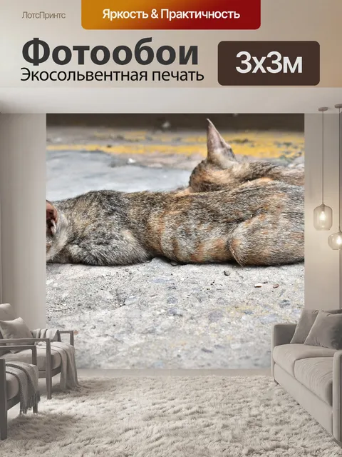 Фотообои Спящих кошек