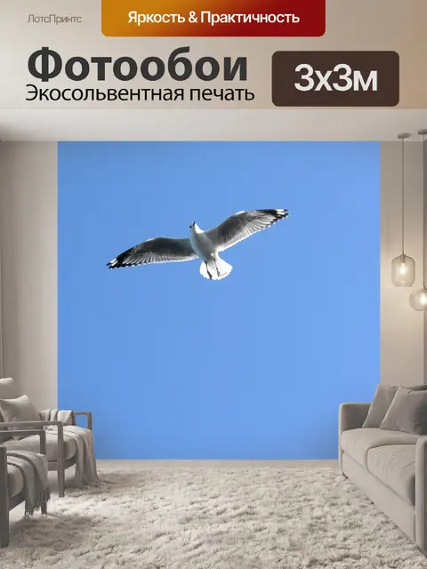 Фотообои Парящий