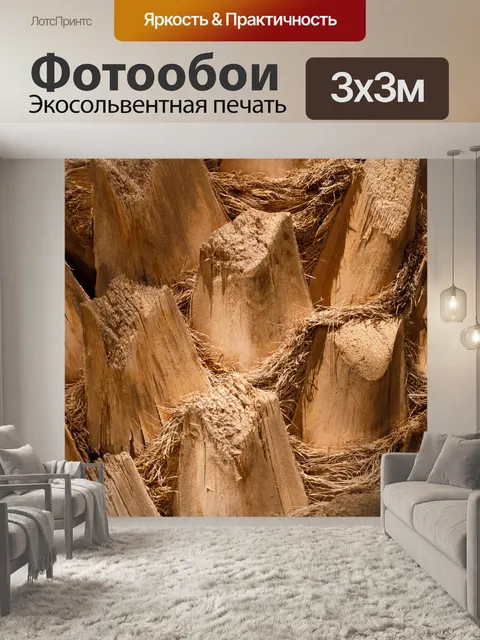 Фотообои Текстура ствола пальмы