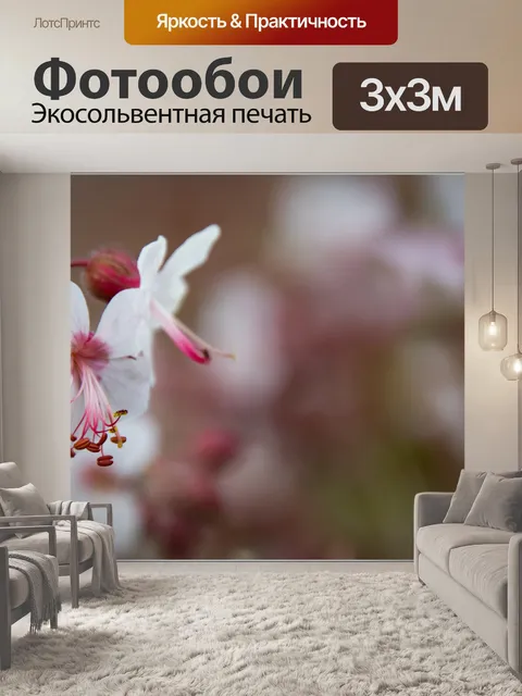 Фотообои Цветок, Герань крупнокорневая