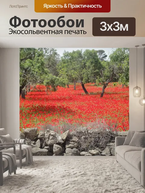 Фотообои Маковое поле