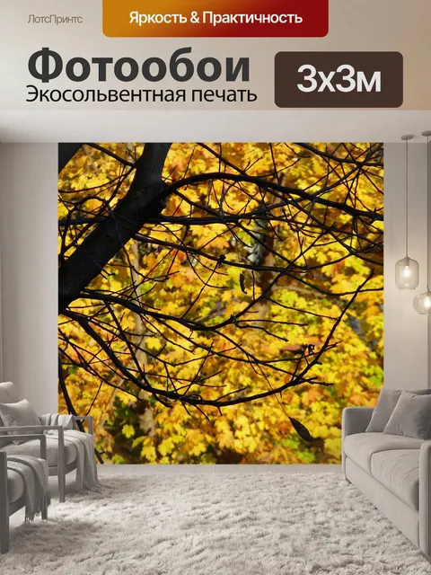 Фотообои Природа