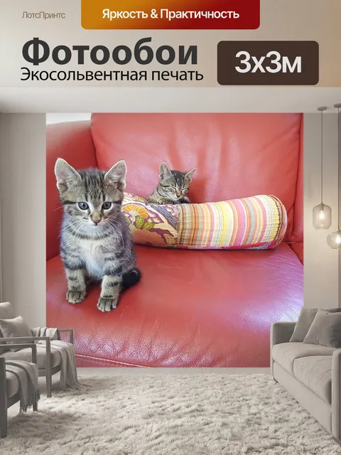 Фотообои Котята