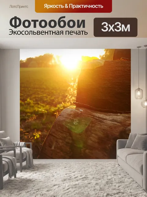 Фотообои Падение
