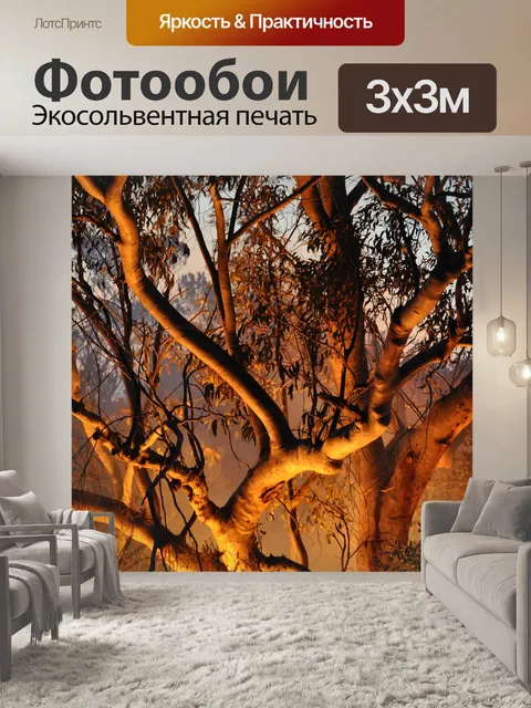 Фотообои Пожар
