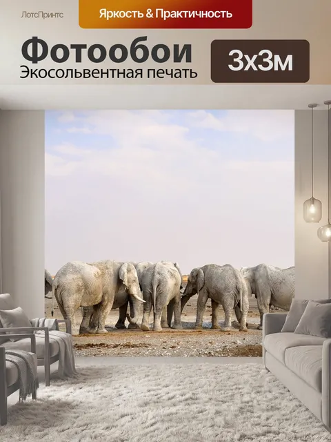 Фотообои Африке