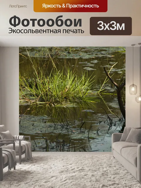 Фотообои Фон