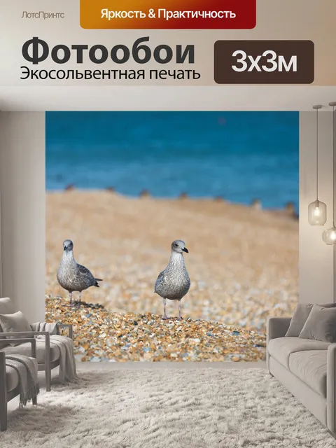 Фотообои чайки на пляже
