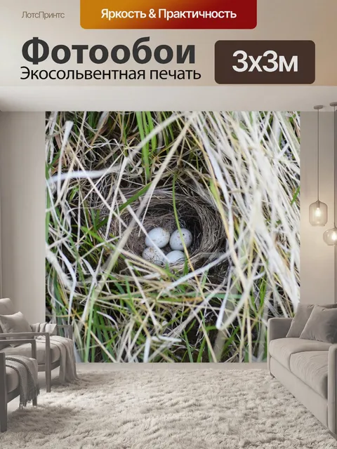 Фотообои Юнко