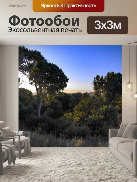 Фотообои Деревья в утреннем свете