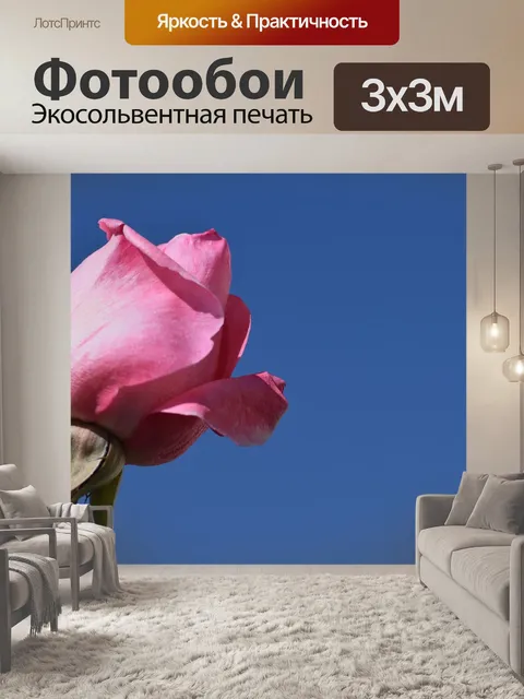 Фотообои Цветок