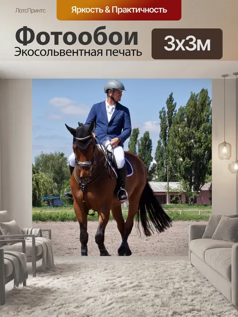 Фотообои Лошадь, всадник на лошади