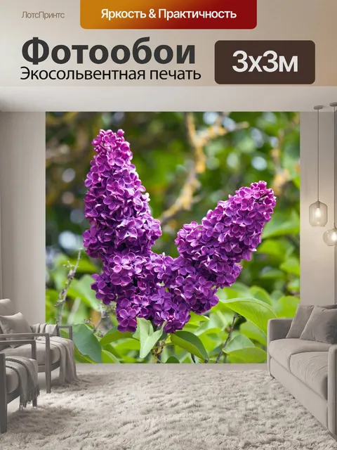 Фотообои Сирень цветов цветы