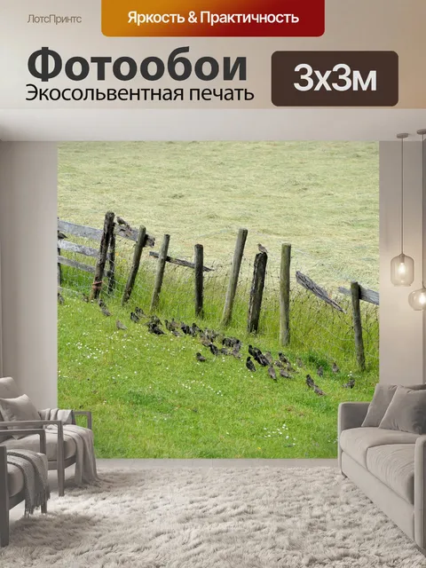 Фотообои Группа 2