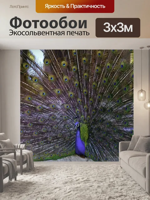 Фотообои Павлин