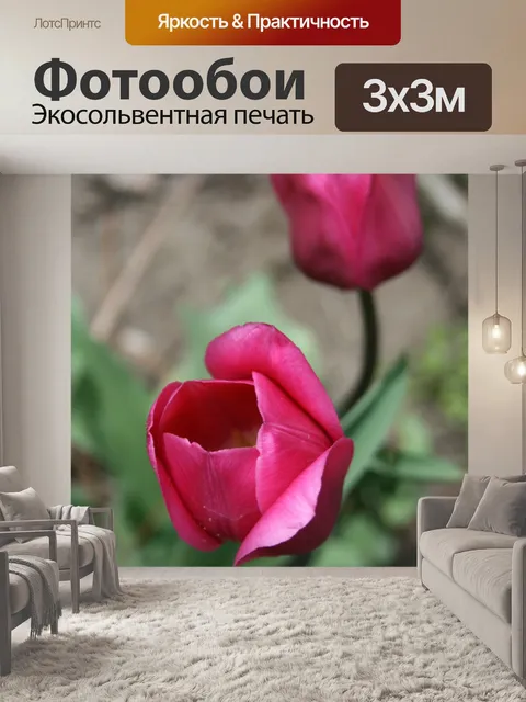 Фотообои темные розовые тюльпаны