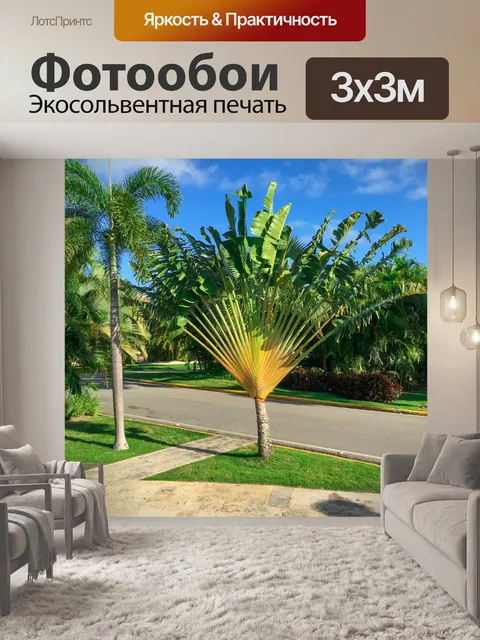 Фотообои Тропическая пальма