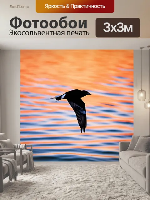Фотообои сорока, летящая над озером на закате