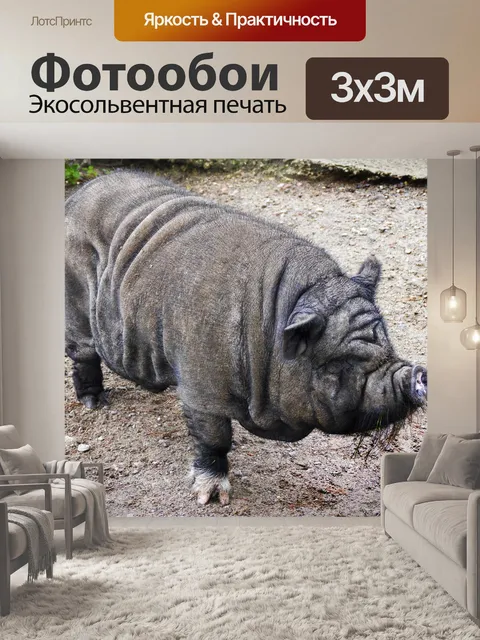 Фотообои Свинья